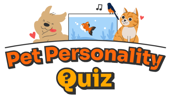 lyp quiz logo